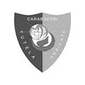 Comando-Carabinieri-Tutela-Ambientale2.jpg